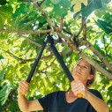 Fiskars PowerGear™ Bypass Uncino (M) L74 